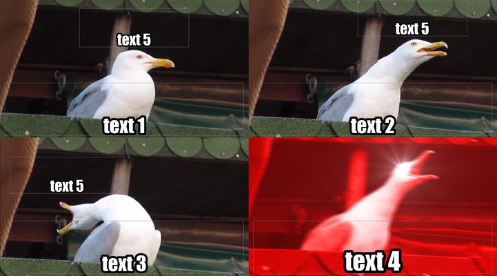 enlarge