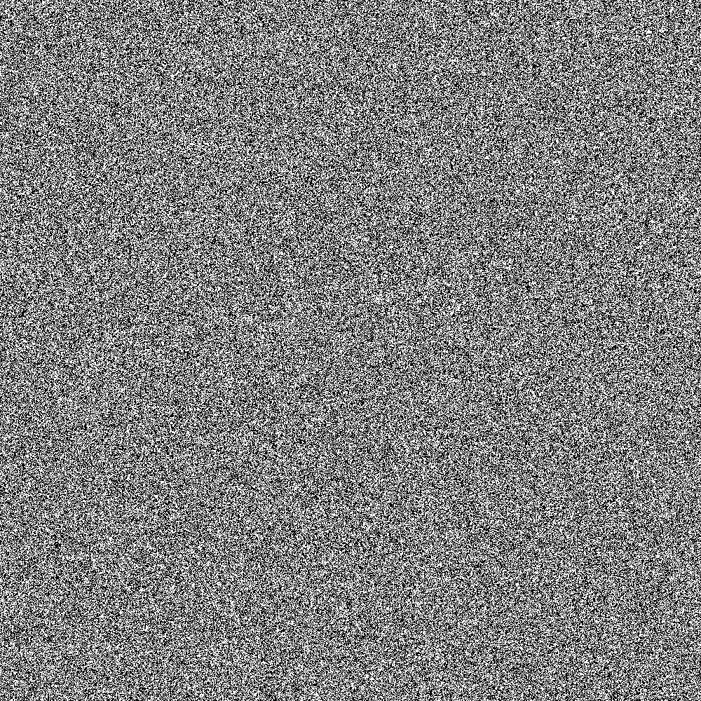 black and white bitmap